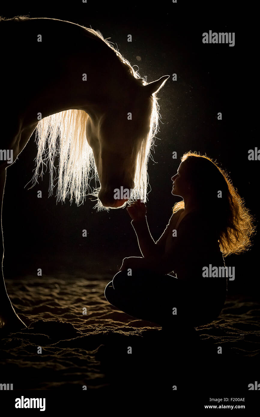 Pure Spanish Horse Andalusian Woman smooching gray stallion backlight seen against black background Germany Stock Photo