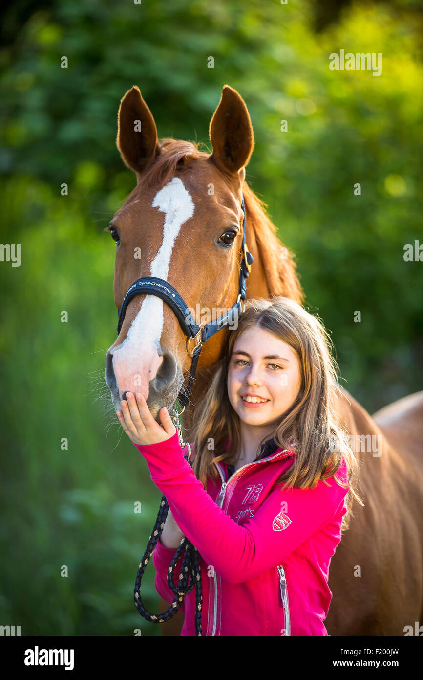 Wuerttemberg Warmblood Portrait of chestnut mare held by girl Germany Stock Photo