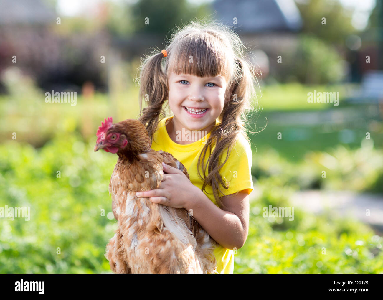 little girl with a hen in the front yard Stock Photo