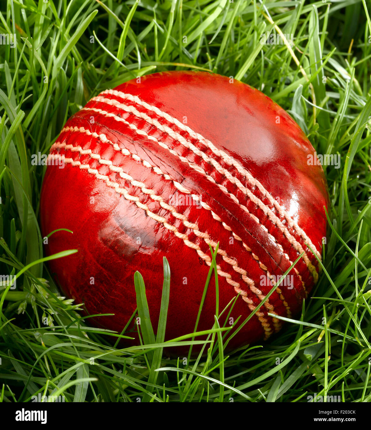Red Leather Cricket Ball Stock Photo - Alamy
