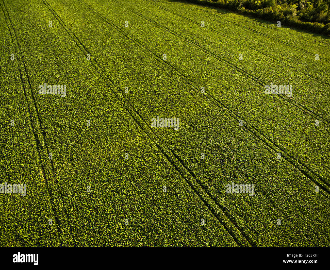 Farmland from above - aerial image of a lush green filed Stock Photo ...