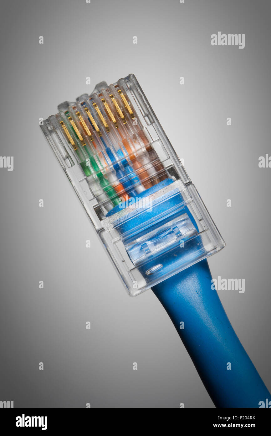 Network cable and connector used for data communications. Stock Photo