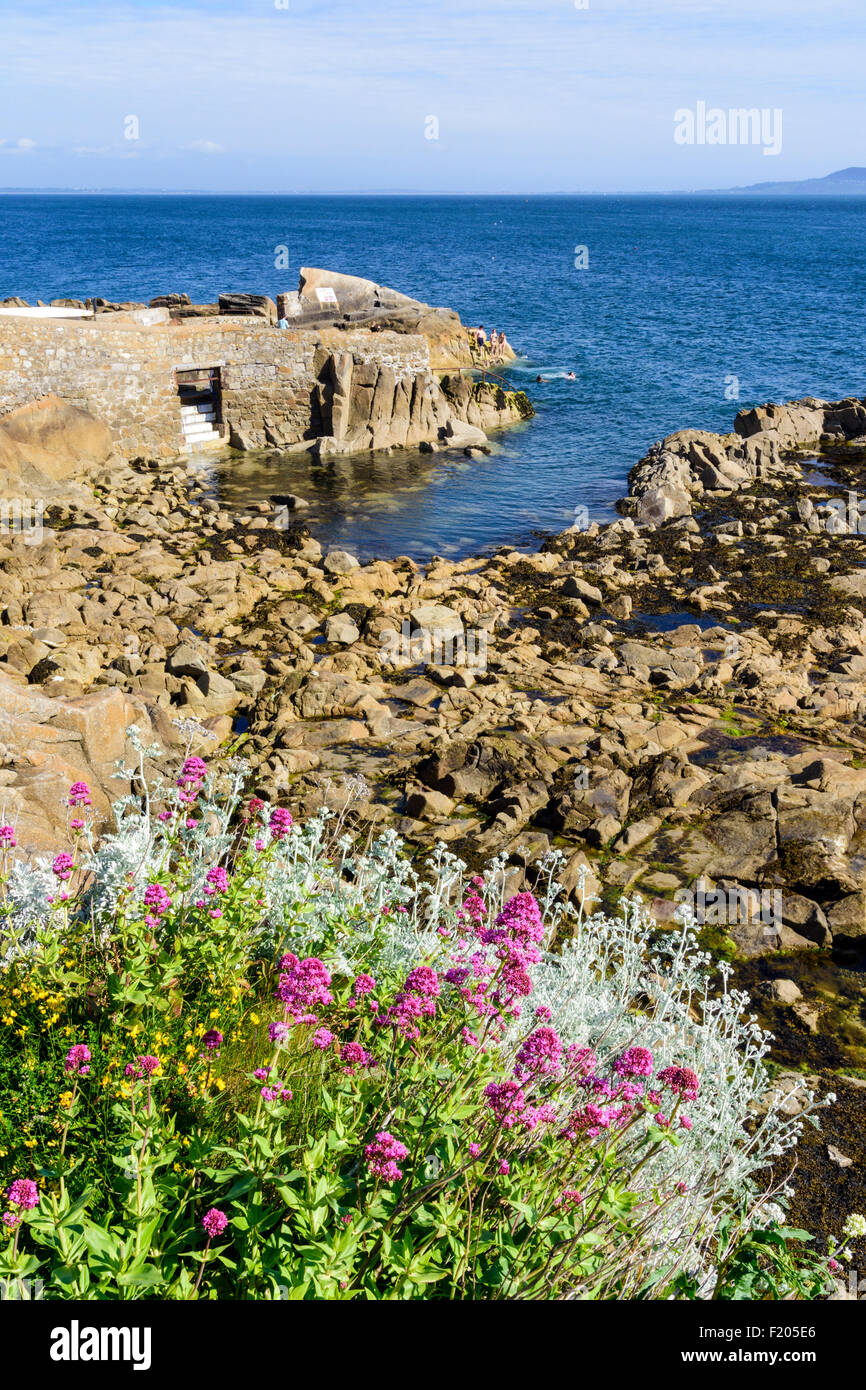 People swimming at Forty Foot bathing place, Sandycove, Dun Laoghaire–Rathdown, Ireland Stock Photo