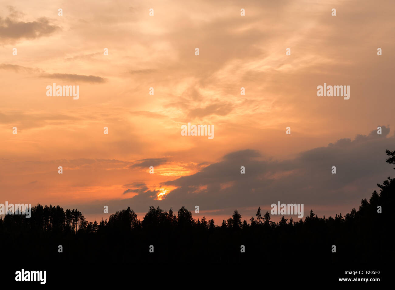 Fiery sunset and silhouette forest Stock Photo