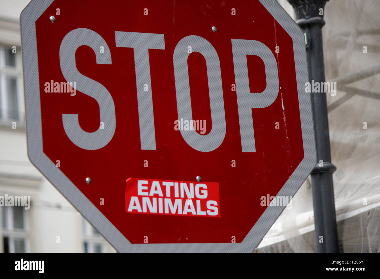'Stop Eating Animals': Street art, Berlin-Mitte. Stock Photo