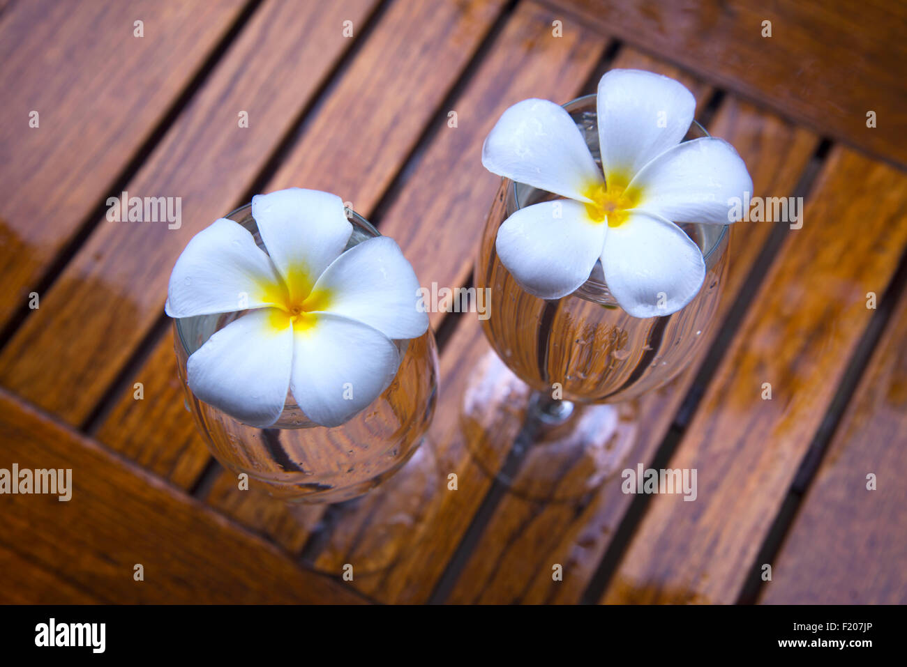 Romantic scene of frangipani in wine glass Stock Photo