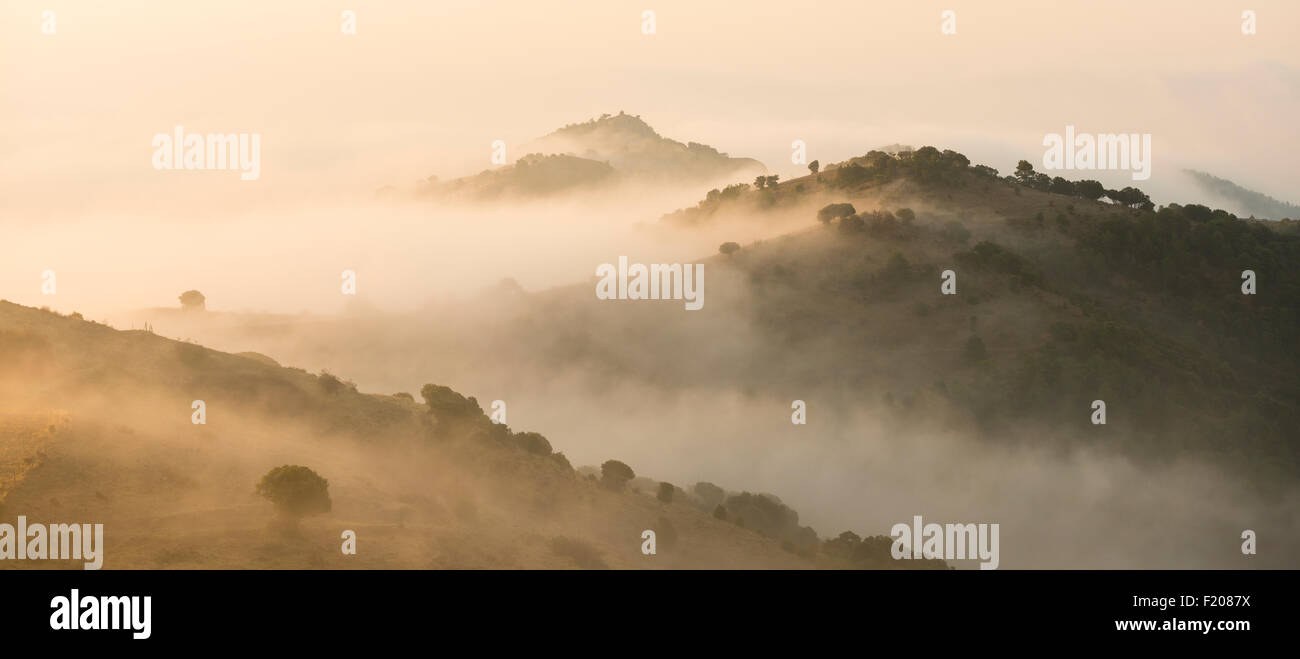 Sunrise landscape at Coll de Serra Seca in the Catalan Pré-Pyrenees with a yellow glow in the mist. Stock Photo