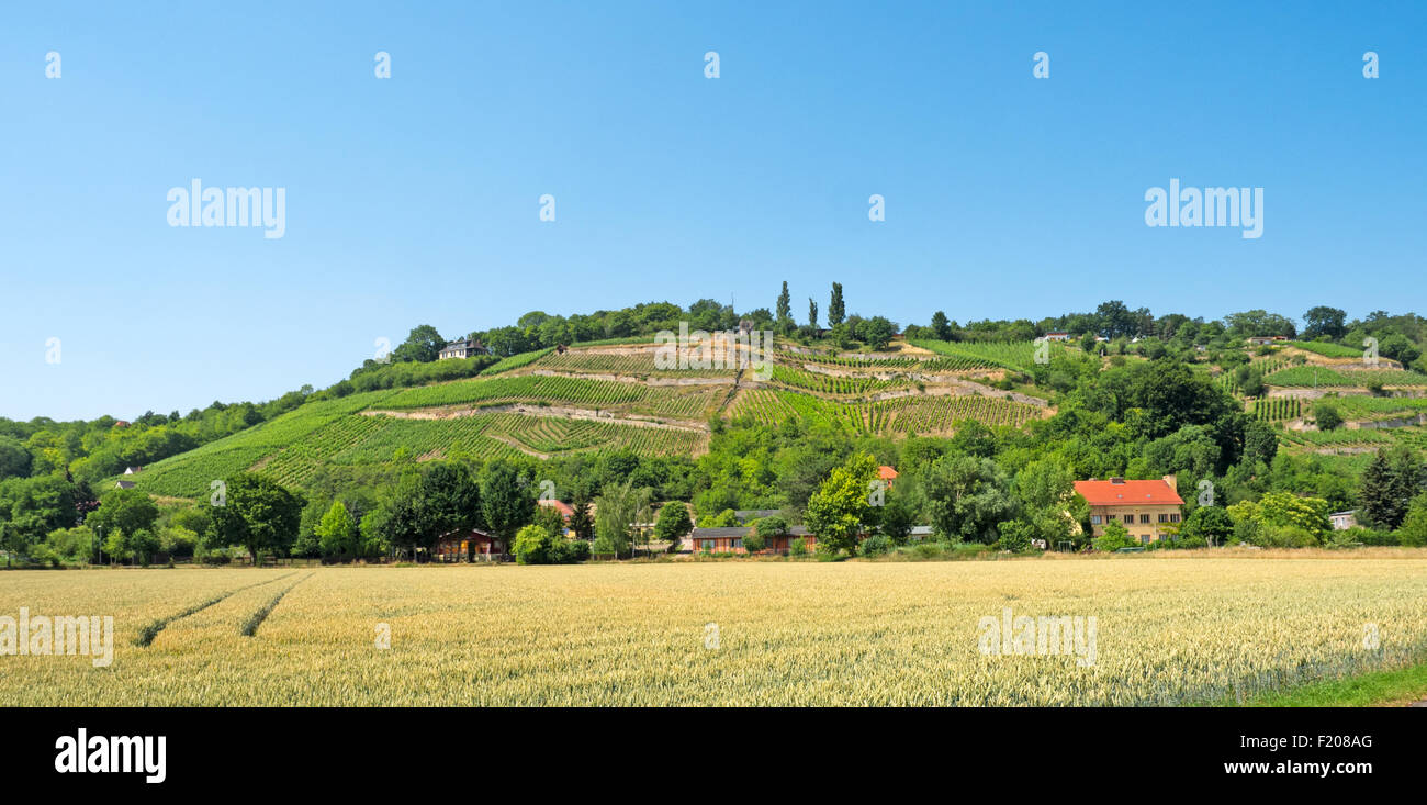 Landschaft in Sachsen-Anhalt Stock Photo