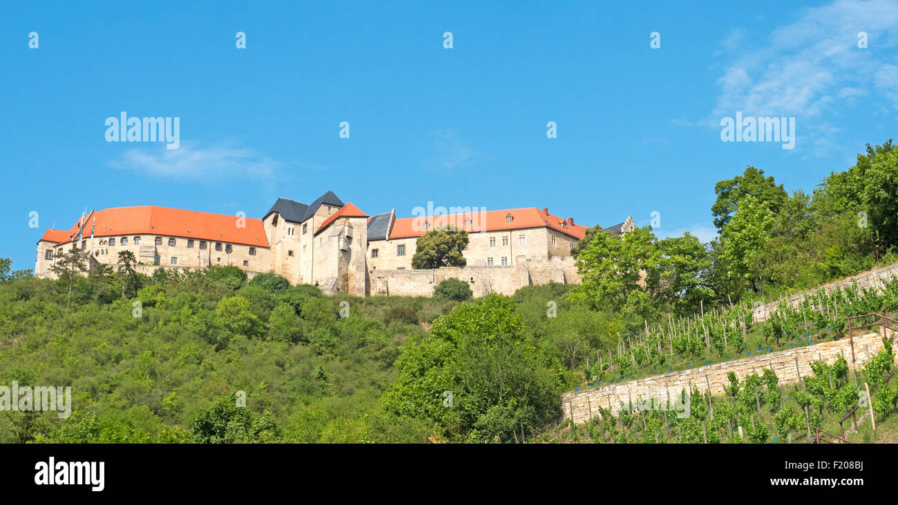Burg Freyburg an der Unstrut mit Weinberg Stock Photo