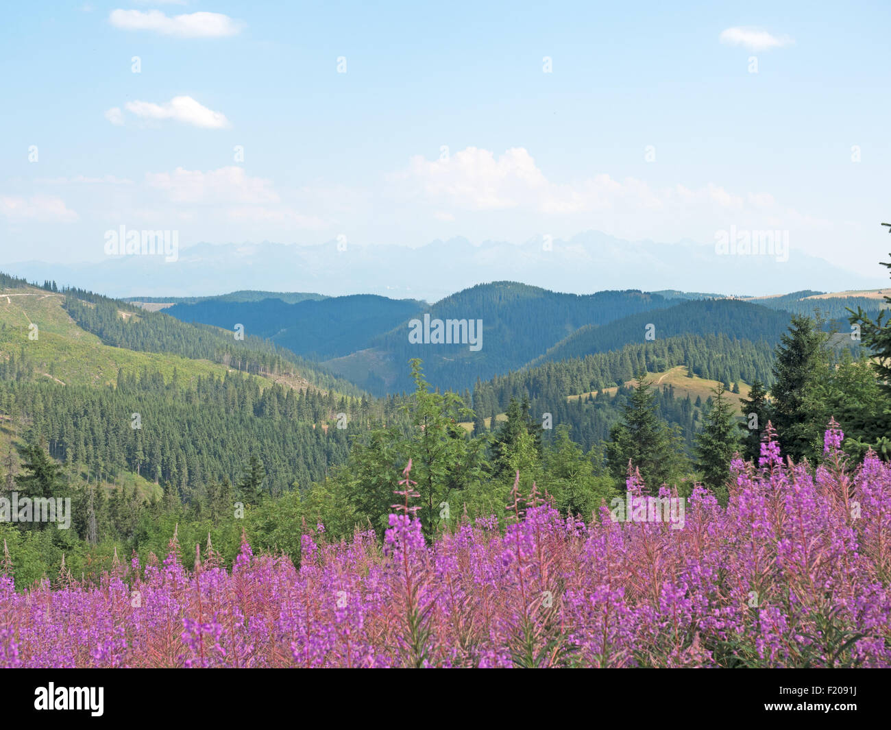 Landschaft in der Slowakei Stock Photo