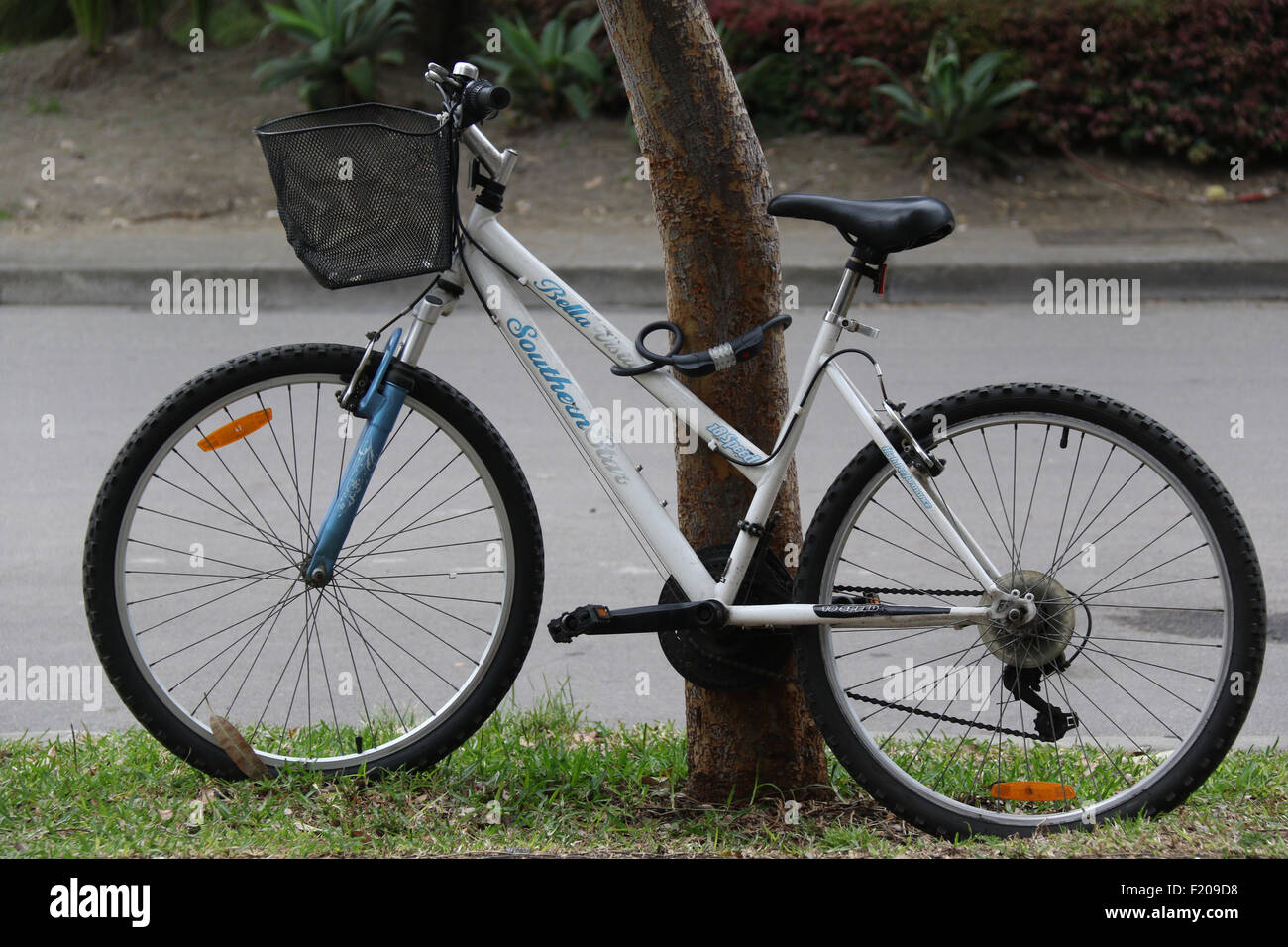 Ladies bicycle hi res stock photography and images Page 3 Alamy