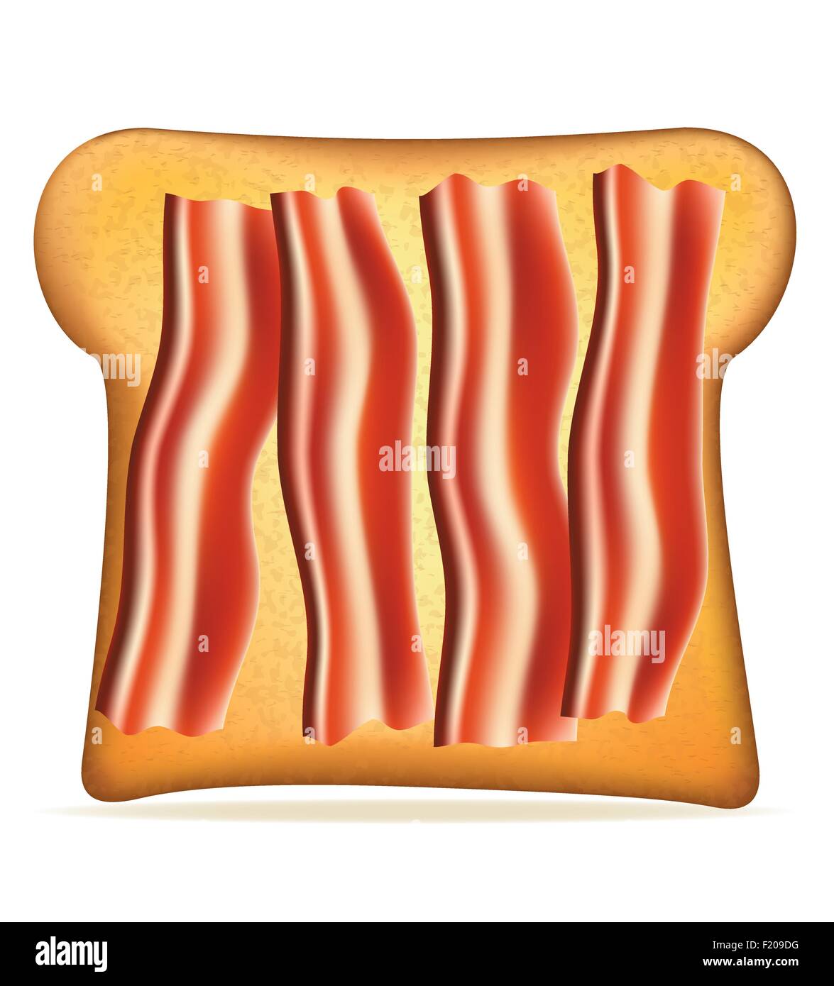 toast with bacon vector illustration isolated on white background Stock ...