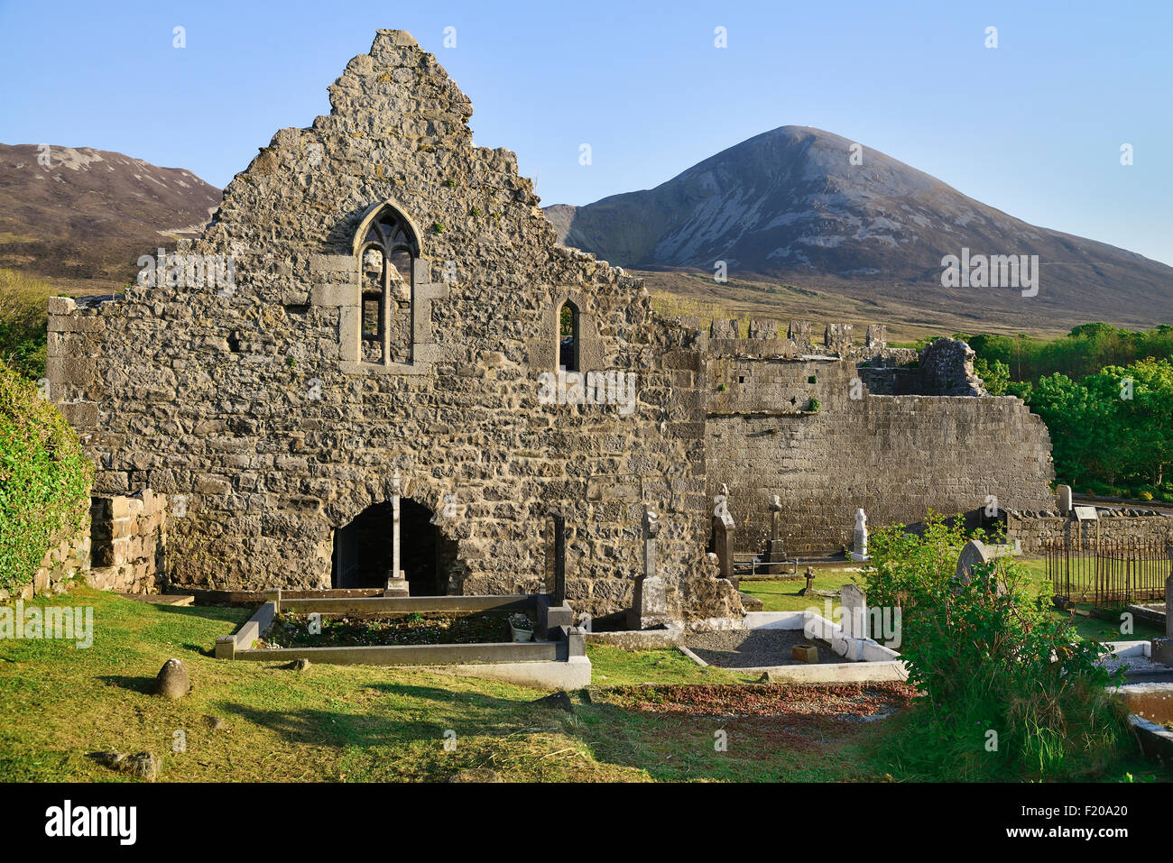 Ireland, County Mayo, Murrisk Abbey with holy pilgrimage mountain Croagh Patrick behind. Stock Photo