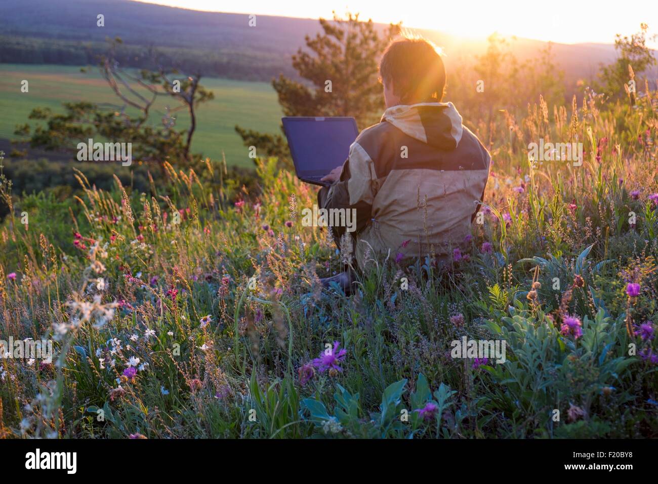 Mid adult man sitting in wildflower meadow using laptop Stock Photo