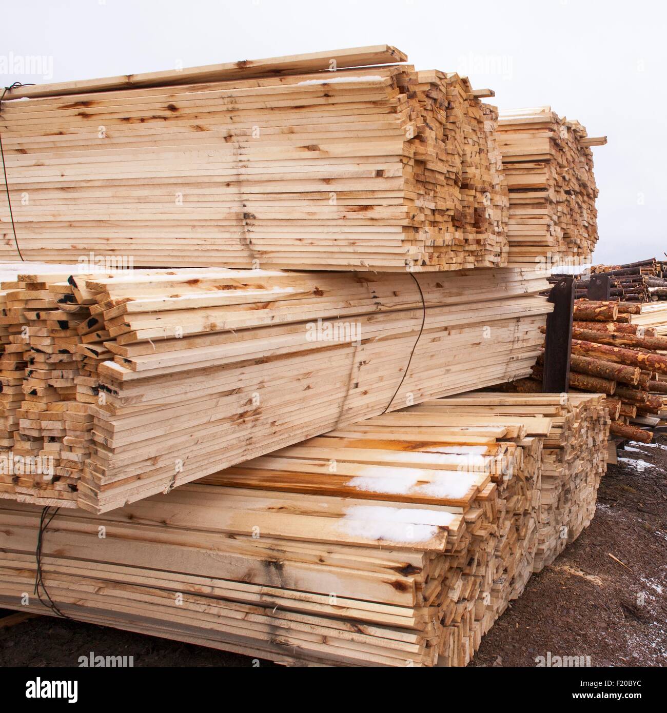 Stacks of timber and tree trunks in timber yard Stock Photo