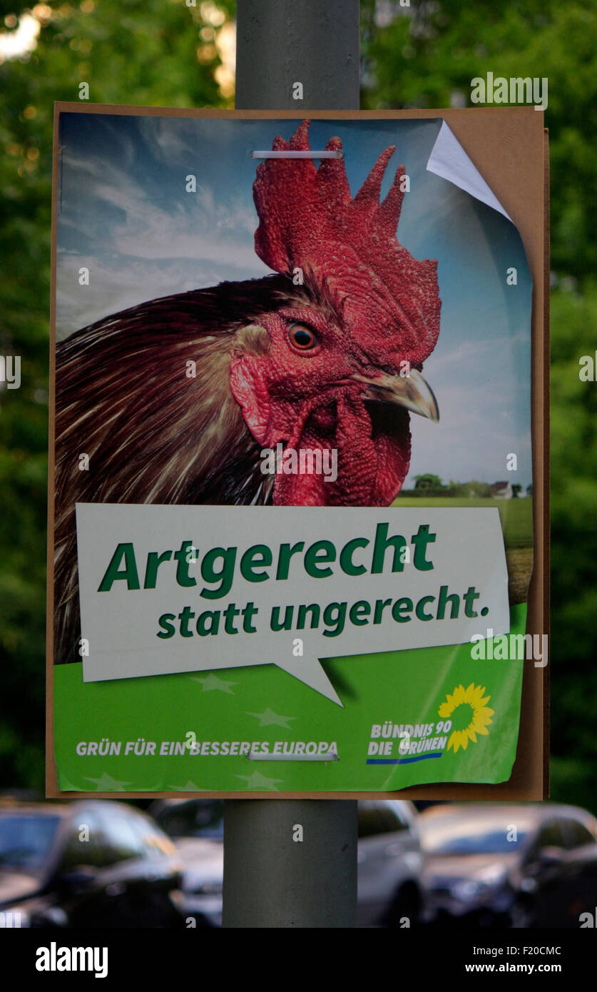 'Artgerecht statt ungerecht', die Gruenen - Wahlplakate zur anstehenden Europawahl, Berlin. Stock Photo