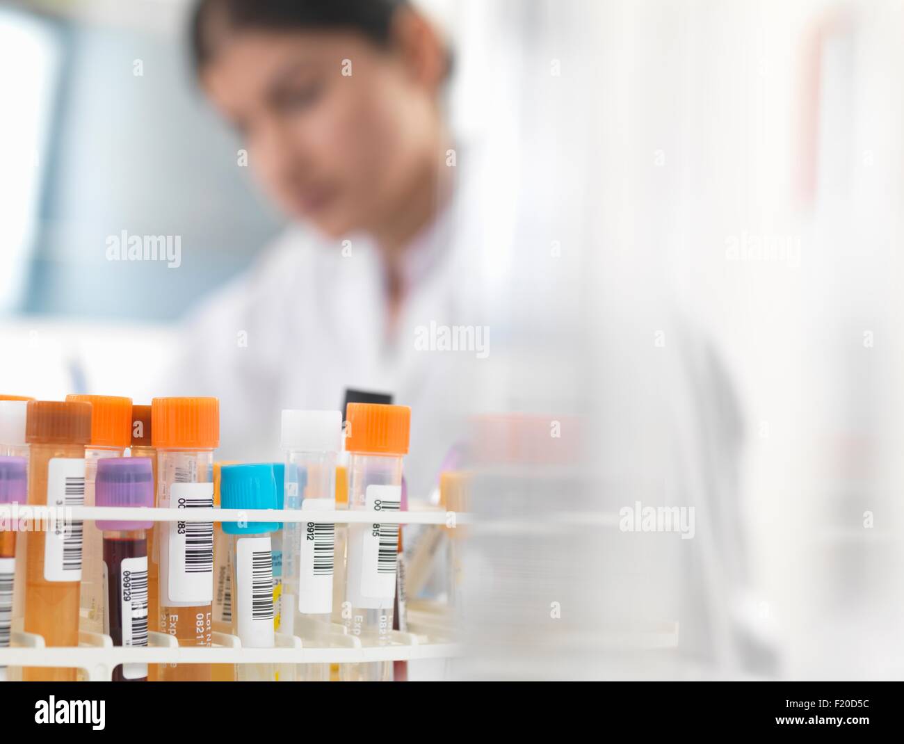 Female doctor preparing blood and urine samples at desk Stock Photo Alamy
