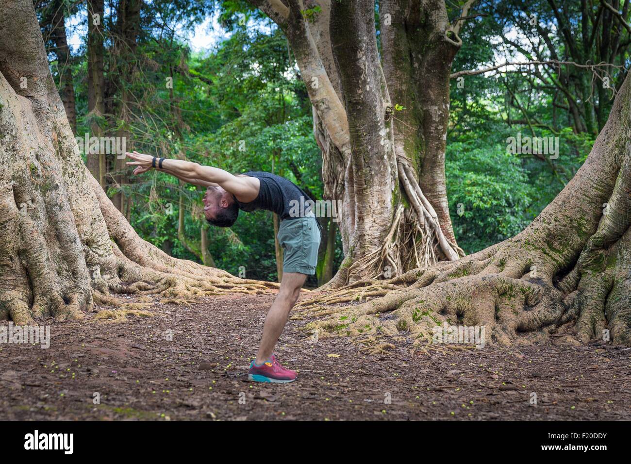 Young man practicing yoga in park, Sao Paulo, Brazil Stock Photo