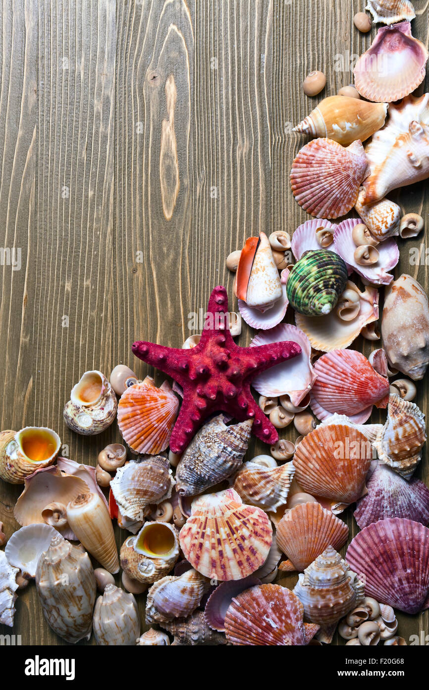 Sea shells on a old wooden table Stock Photo - Alamy