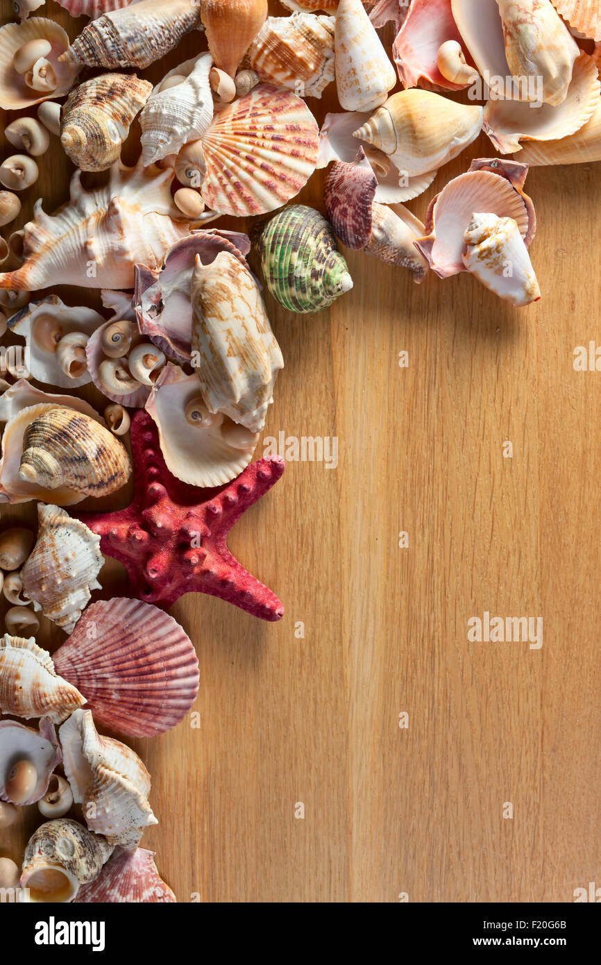Sea shells on a old wooden table Stock Photo - Alamy