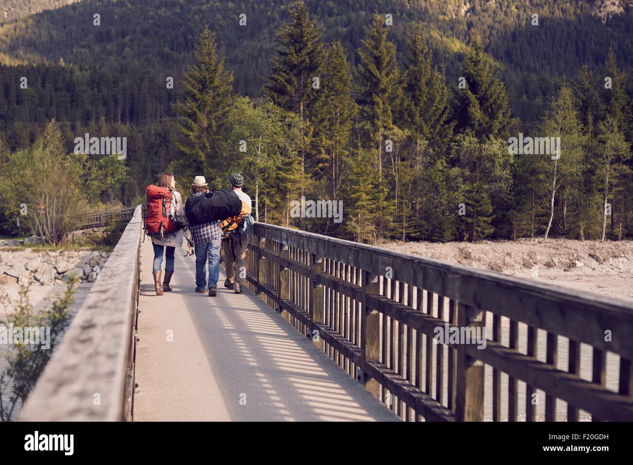 Rear view of three people walking to mountains wearing backpacks Stock Photo