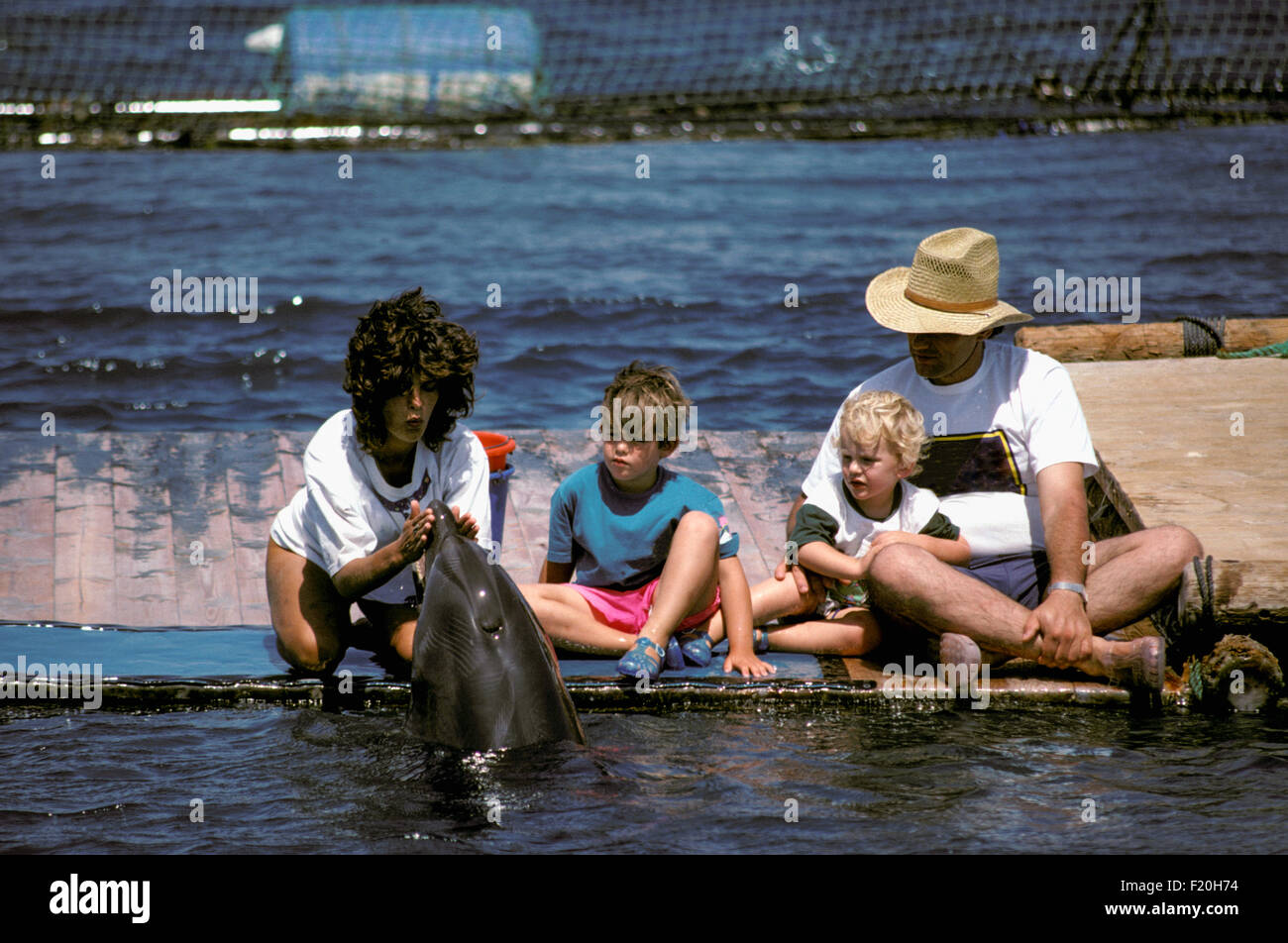 Dolphin trainer communicates with Bottlenose Dolphin (Tursiops truncatus): two autistic children and man observe interaction Stock Photo