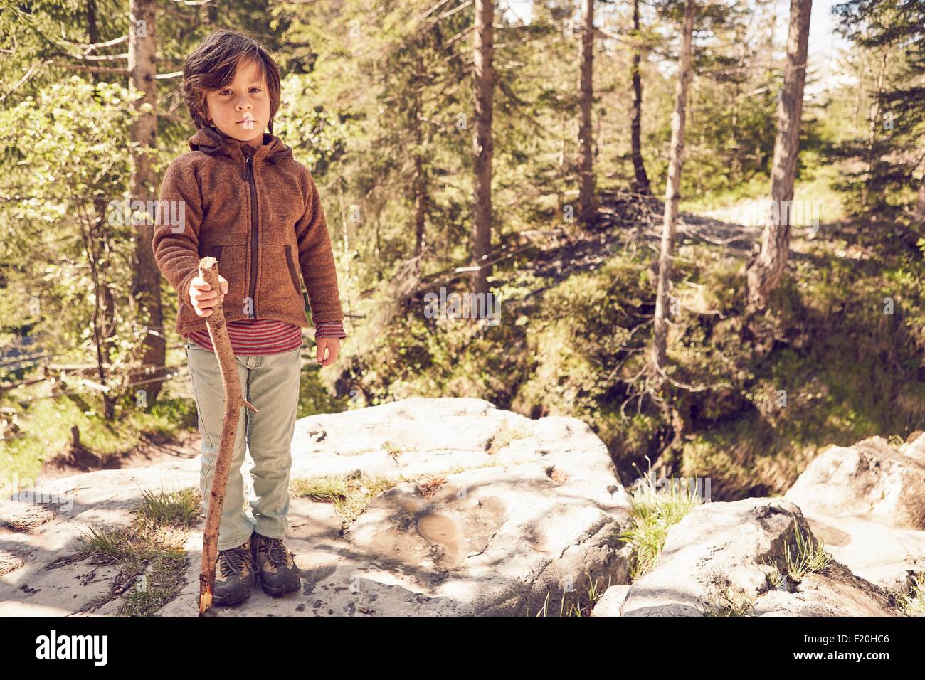 Portrait of young boy in forest, standing on rock Stock Photo