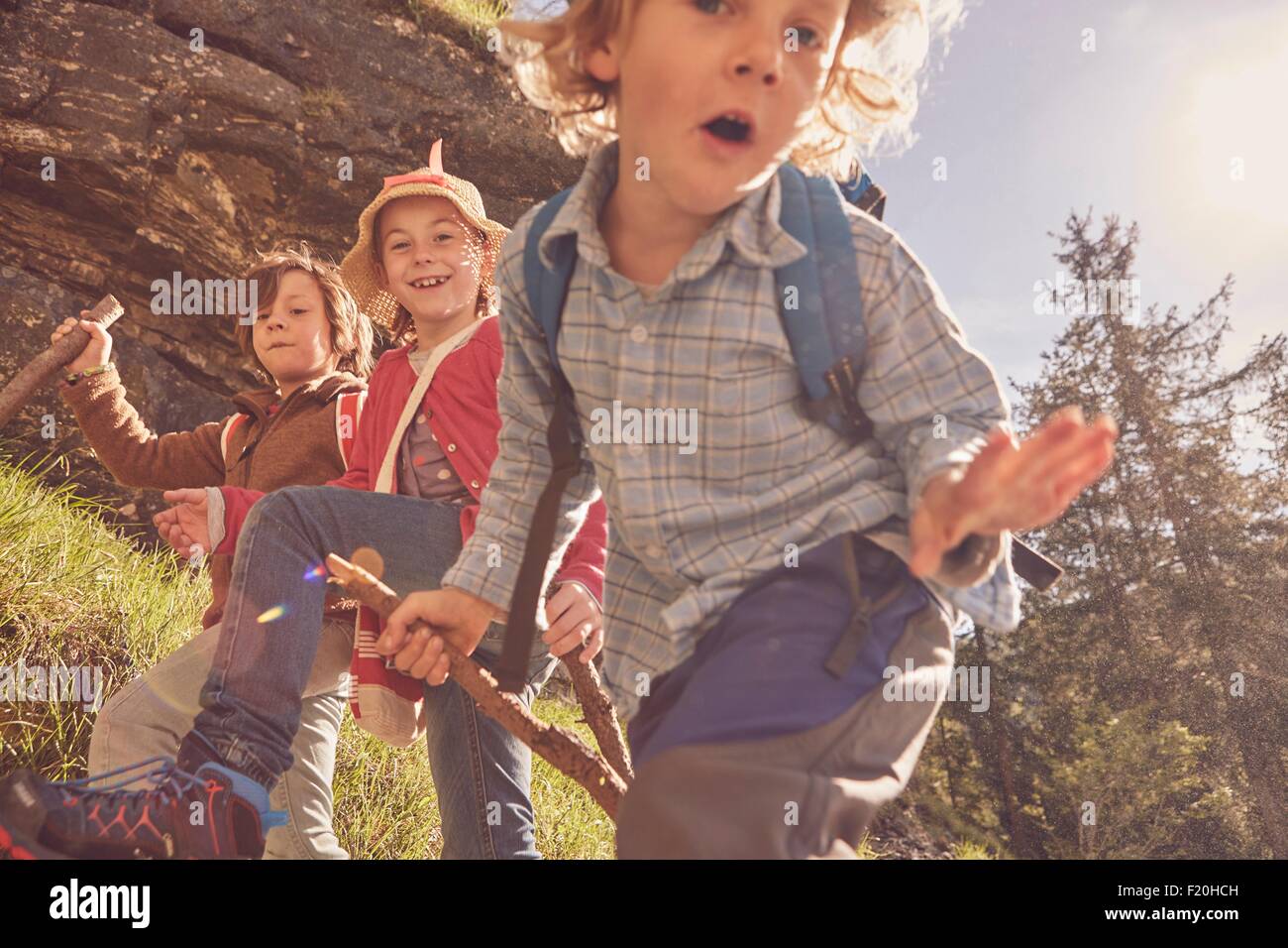 Three children exploring forest Stock Photo