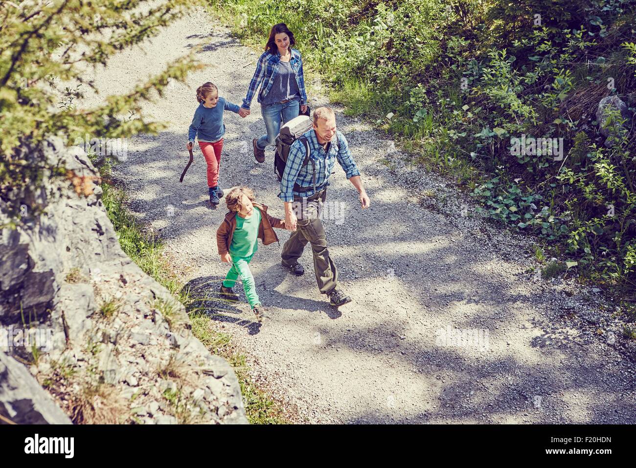 Family walking through forest, holding hands, elevated view Stock Photo