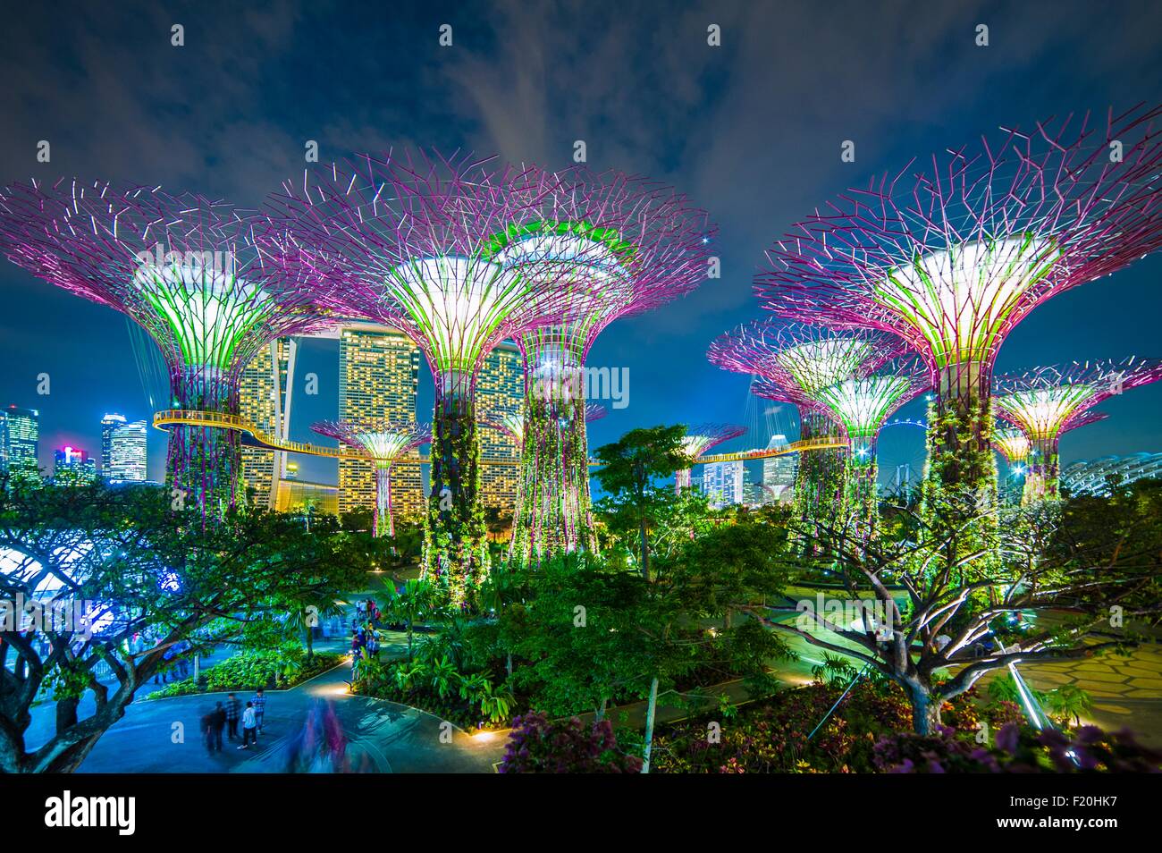 Gardens by the Bay, illuminated at night, Singapore Stock Photo