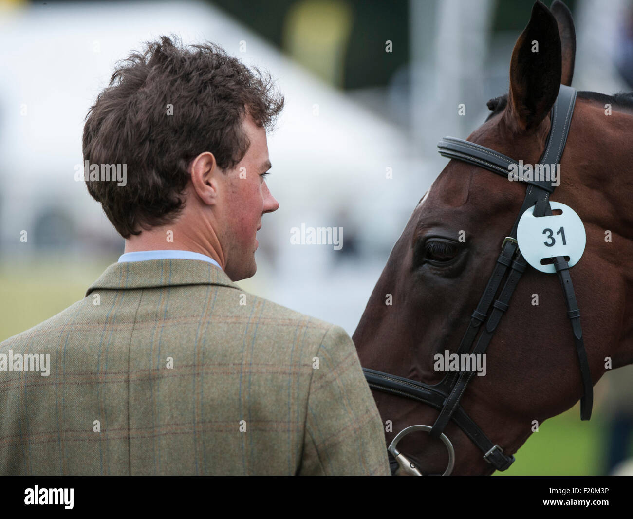 Blair Atholl,  Scotland, UK. 9th September, 2015. Sam Watson[IRL]with Horseware Lukeswell at the first inspection. The FEI European Eventing Championships 2015 Blair Castle Credit:  Stephen Bartholomew/Alamy Live News Stock Photo