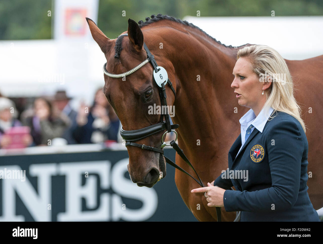 Blair Atholl,  Scotland, UK. 9th September, 2015. Gemma Tattersall [GBR] with Arctic Soul at the first inspection. The FEI European Eventing Championships 2015 Blair Castle Credit:  Stephen Bartholomew/Alamy Live News Stock Photo