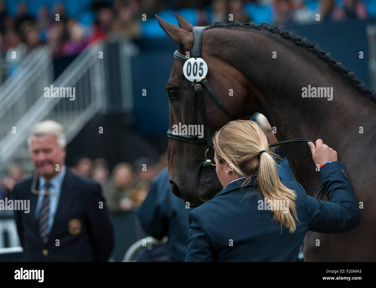 Blair Atholl,  Scotland, UK. 9th September, 2015. Kitty King [GBR] with Persimmon at the first inspection. The FEI European Eventing Championships 2015 Blair Castle Credit:  Stephen Bartholomew/Alamy Live News Stock Photo