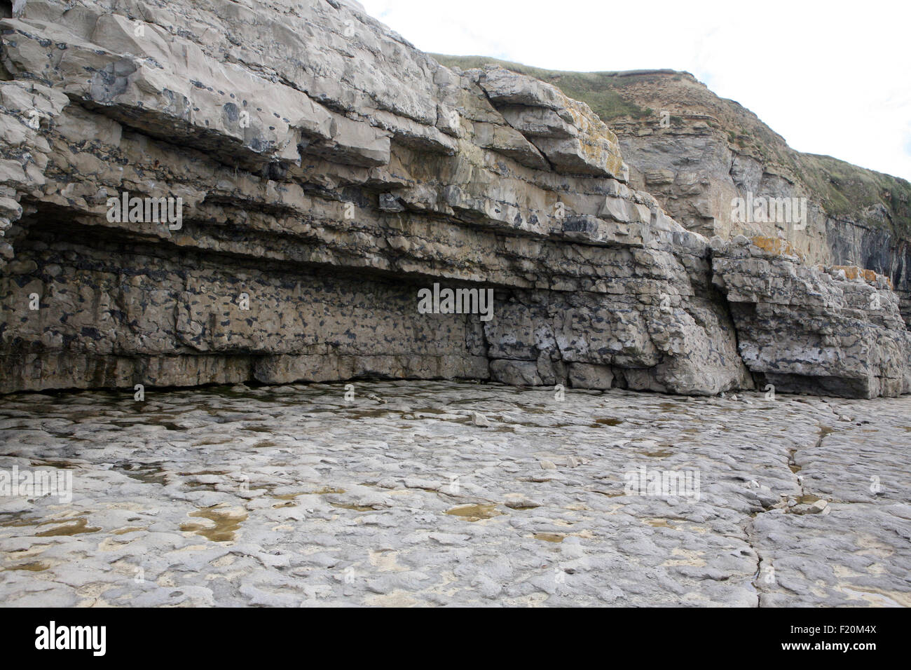 Jurassic coast Isle of Purbeck Dorset Stock Photo