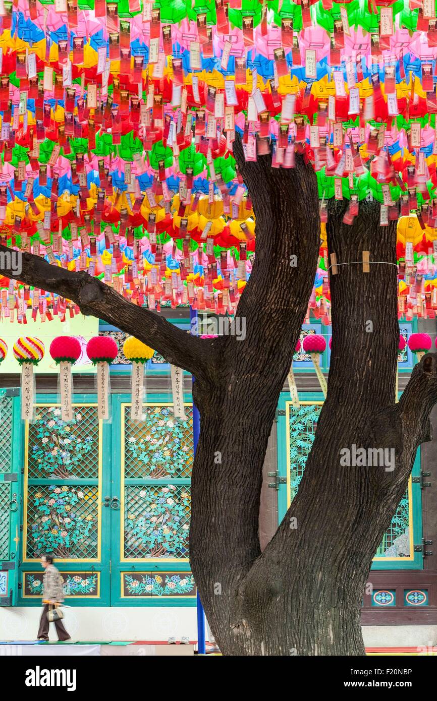 South Korea, Seoul, Jongno-gu, Jogyesa temple (headquarters of the Jogye Order of Korean Buddhism) was founded in the 14th century, pine Napoleon 500 years with lanterns for the Lotus Lantern Festival celebrating the birth of Buddha Stock Photo