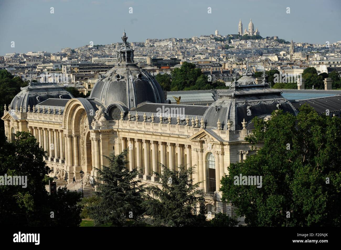 France, Paris, Le Petit Palais is a historical monument in Paris, now used as a museum of fine arts, which was built for the Universal Exhibition (aerial view) Stock Photo