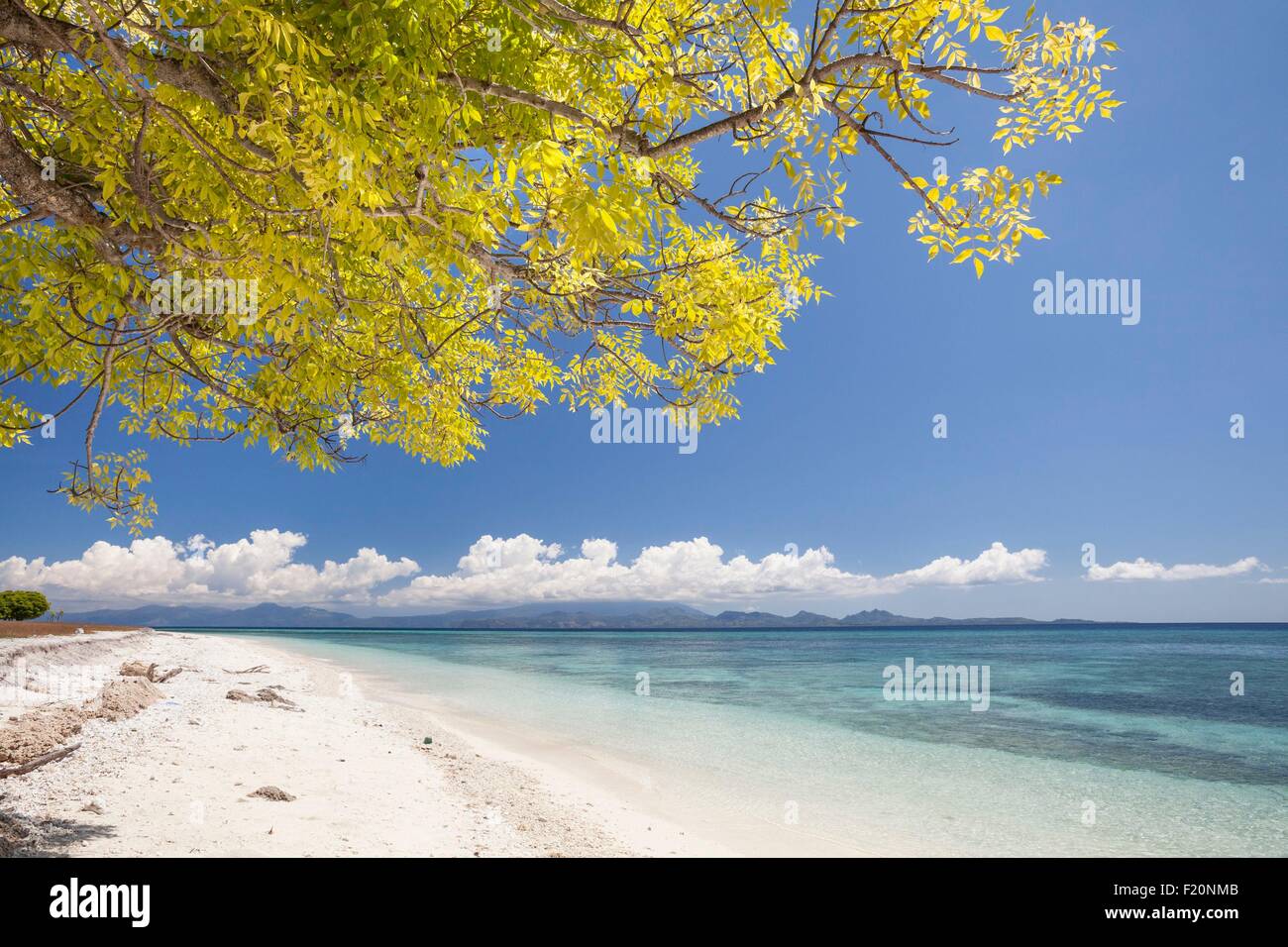 Indonesia Lesser Sunda Islands Alor Archipelago Kangge Island Beach Indonesia Lesser Sunda Islands Alor Archipelago Kangge Island Beach