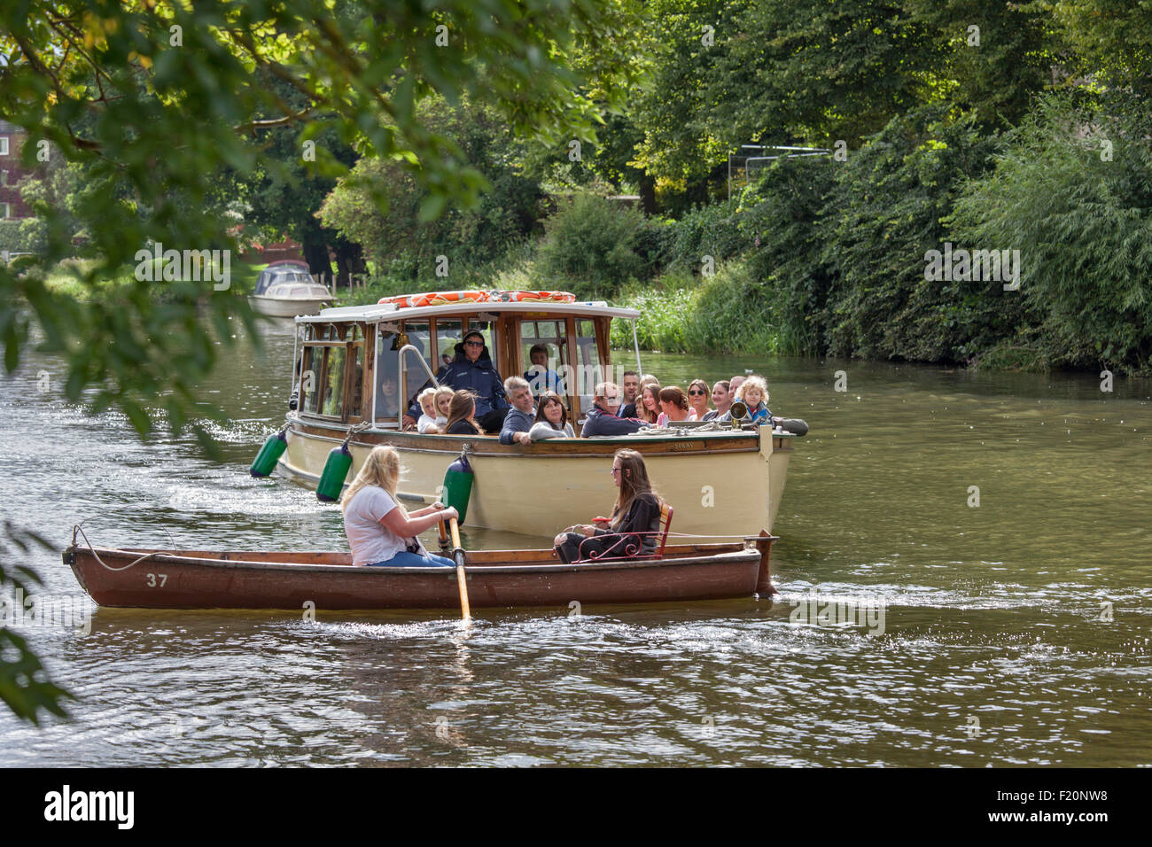 Trip boat close to a rowing boat on the River Avon, Stratford upon Avon, Warwickshire, England, UK Stock Photo