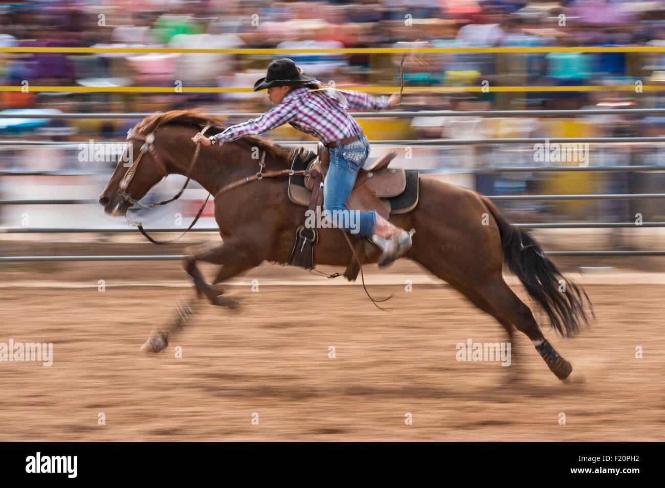 United States, Arizona, Window Rock, Festival Navajo Nation Fair, rodeo