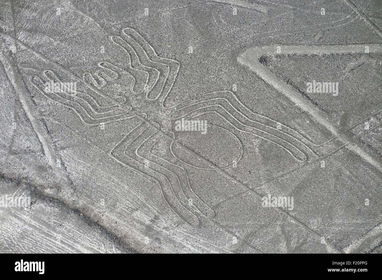 Peru, Ica Region, Nazca Desert, the Nazca Lines (5th-7th century), listed as World Heritage site by UNESCO, the geoglyphs are large figures drawn on the ground, often stylized animals, spider (47 m long), aerial view Stock Photo