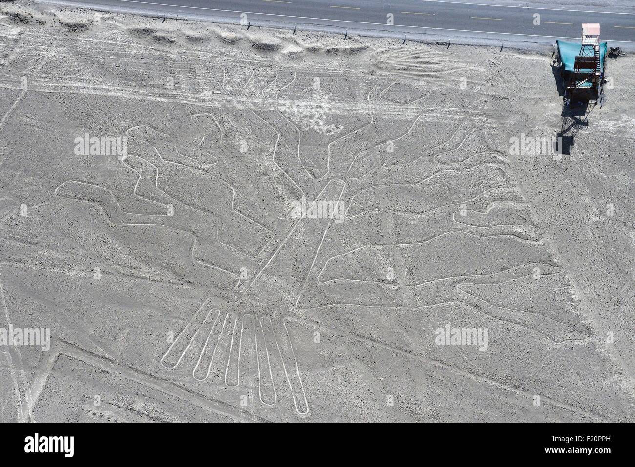 Peru, Ica Region, Nazca Desert, the Nazca Lines (5th-7th century), listed as World Heritage site by UNESCO, the geoglyphs are large figures drawn on the ground, often stylized animals, three, aerial view Stock Photo
