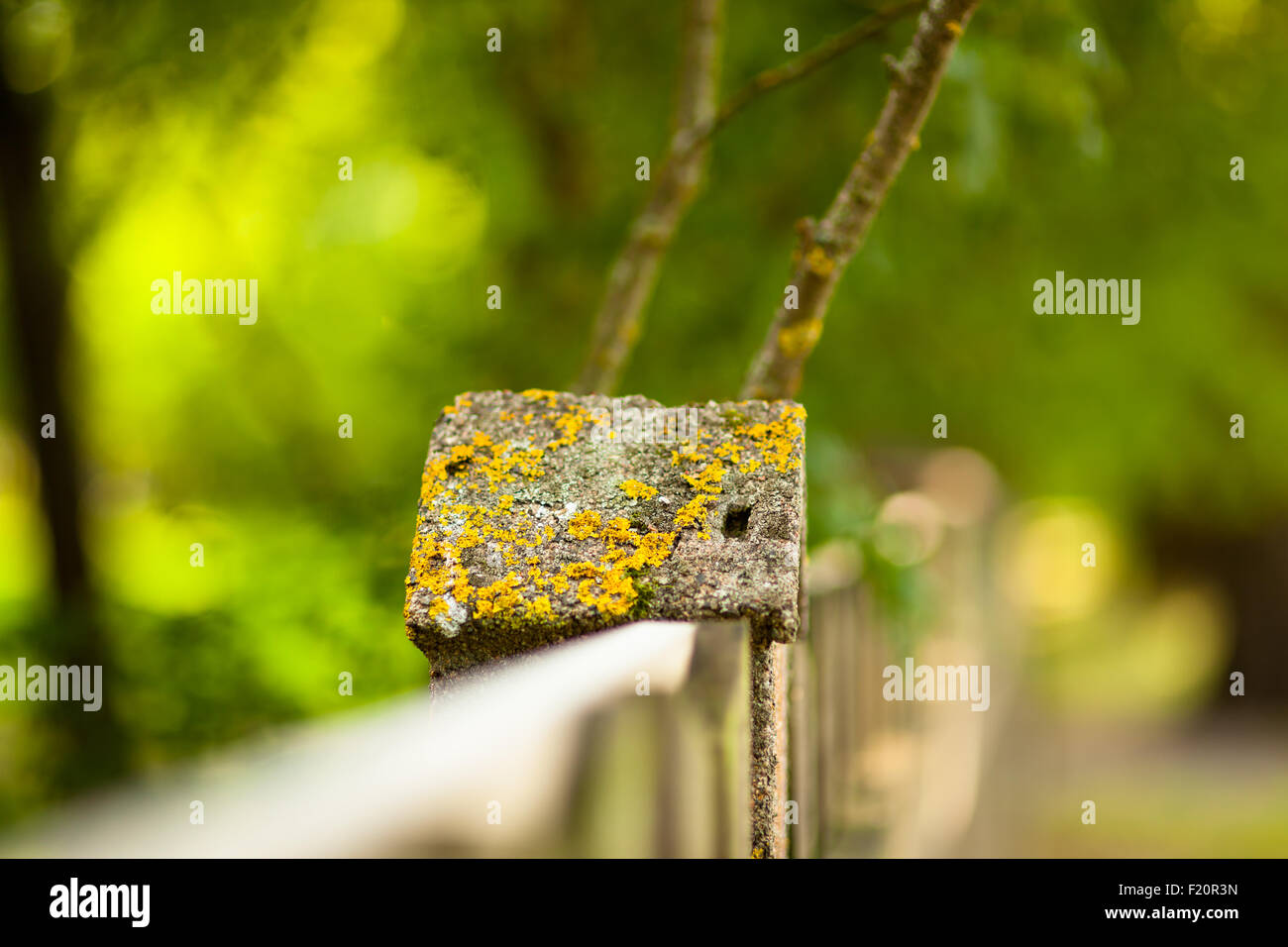 Stone fence and blurred forest background Stock Photo - Alamy