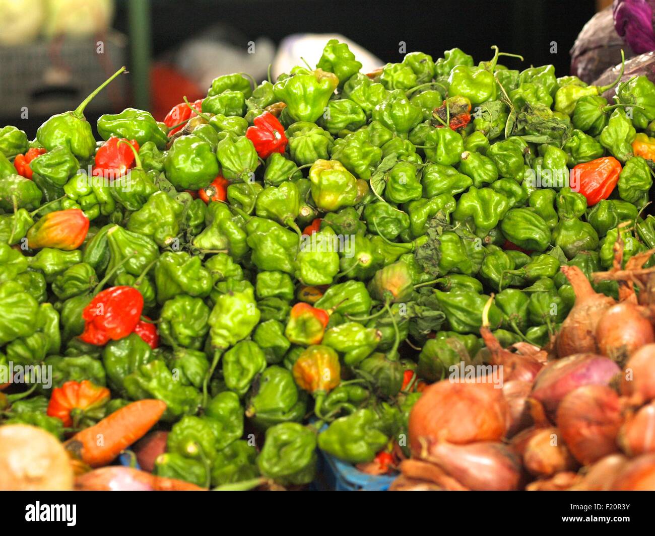 Scotch peppers (Capsicum chinense Habanero Stock Photo Alamy