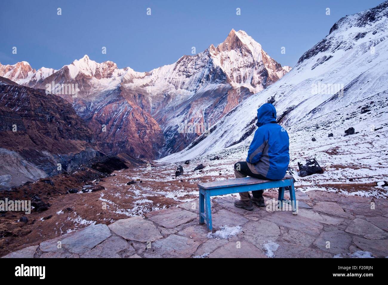 Nepal, Gandaki, Annapurna region, trekker seated on a bench at Annapurna Base Camp, watching the holy Machapuchare mountain Stock Photo