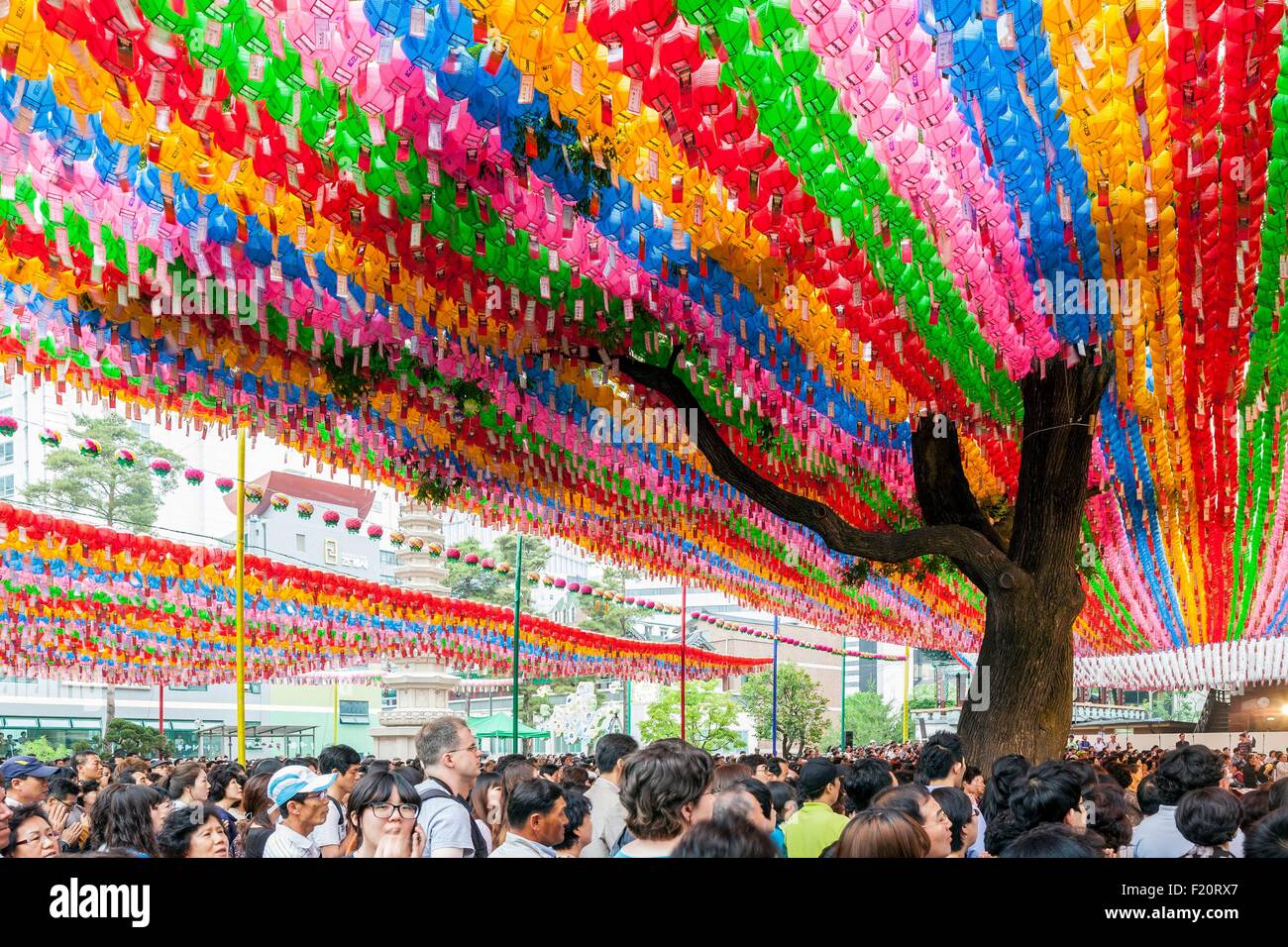 South Korea, Seoul, Jongno-gu, Jogyesa temple (headquarters of the Jogye Order of Korean Buddhism) was founded in the 14th century, pine Napoleon 500 years with lanterns for the Lotus Lantern Festival celebrating the birth of Buddha Stock Photo