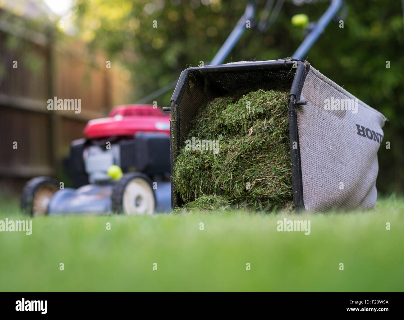 Grass cutting hires stock photography and images Alamy