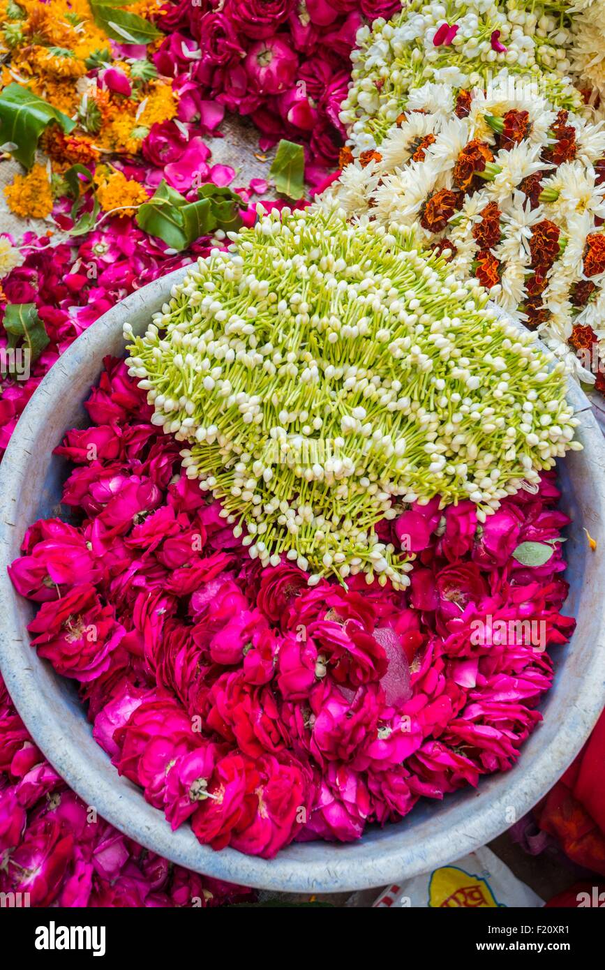 Jaipur Street High Resolution Stock Photography and Images Alamy