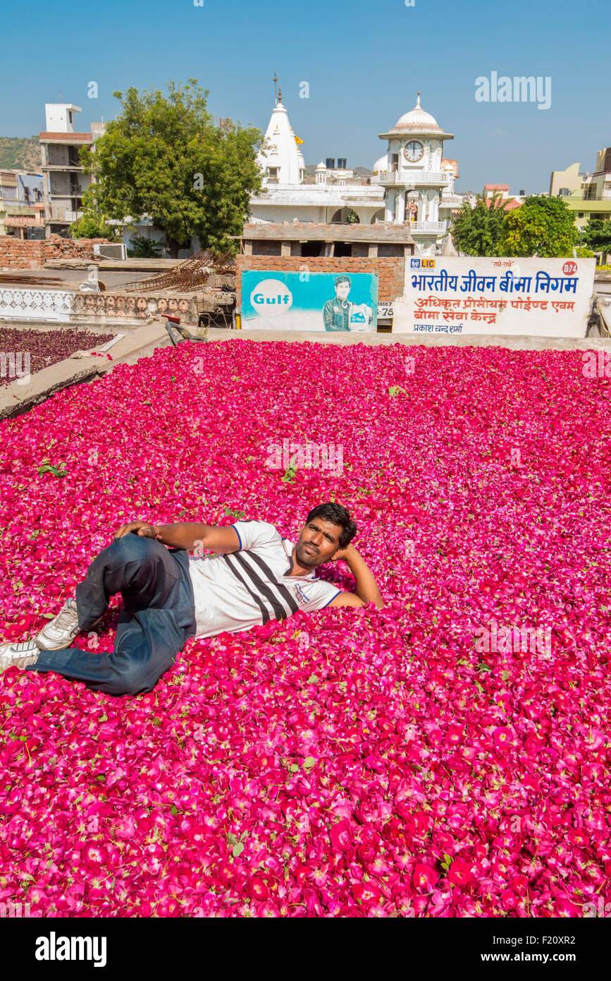 India, Rajasthan state, Jaipur, Chandi Ki Taksal flower market Stock