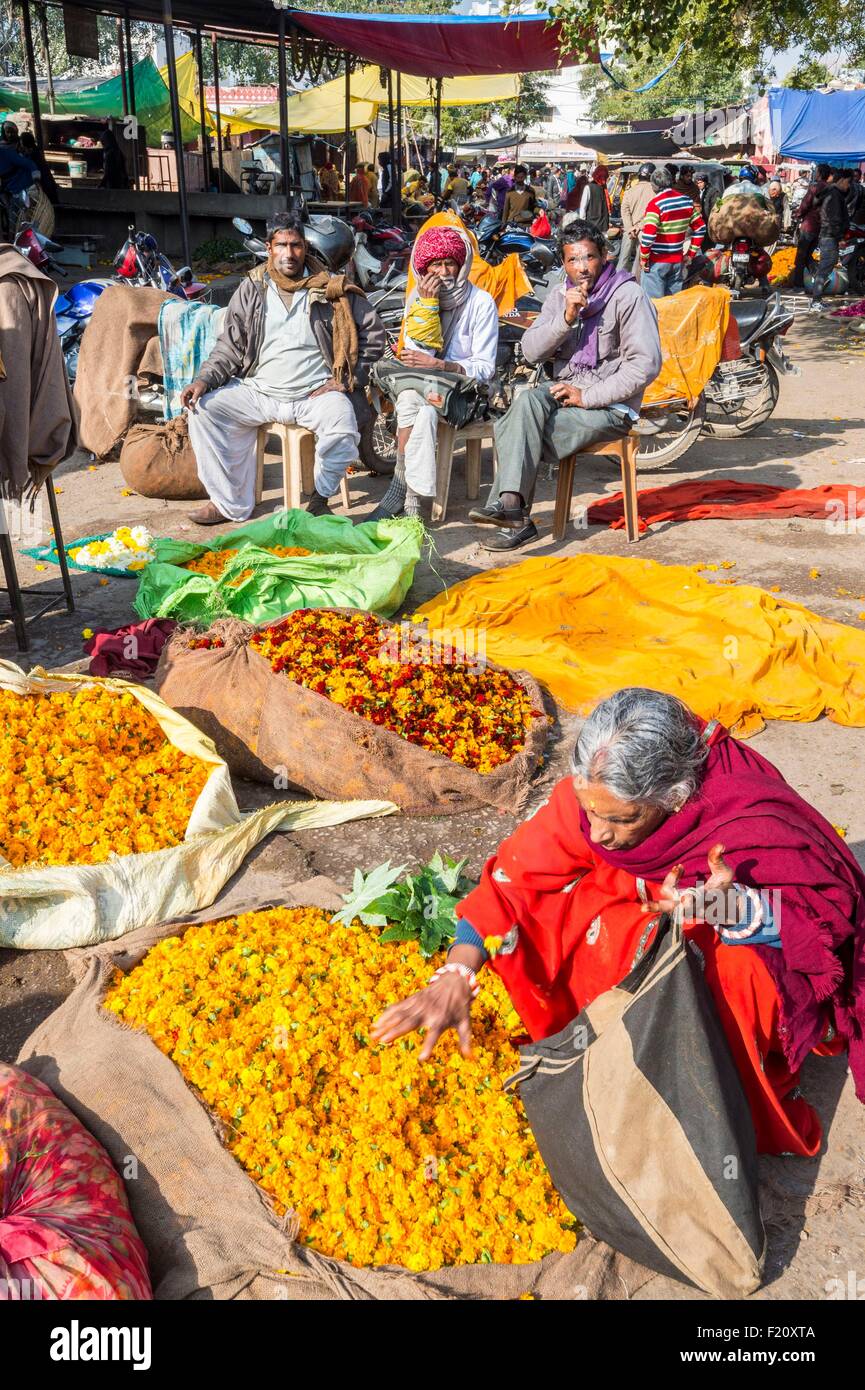 India, Rajasthan state, Jaipur, Chandi Ki Taksal flower market Stock