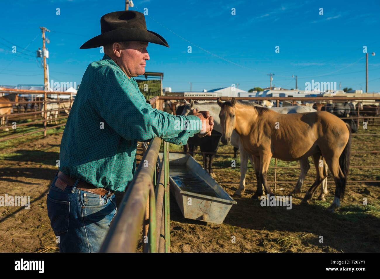 United States, Arizona, Window Rock, Festival Navajo Nation Fair Stock